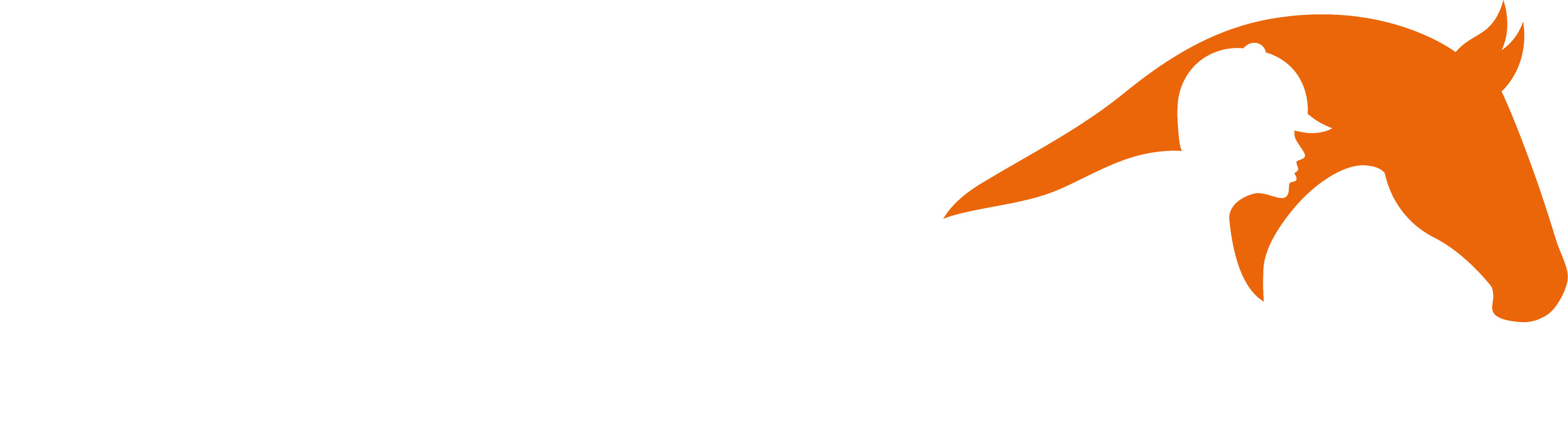 StrongRider